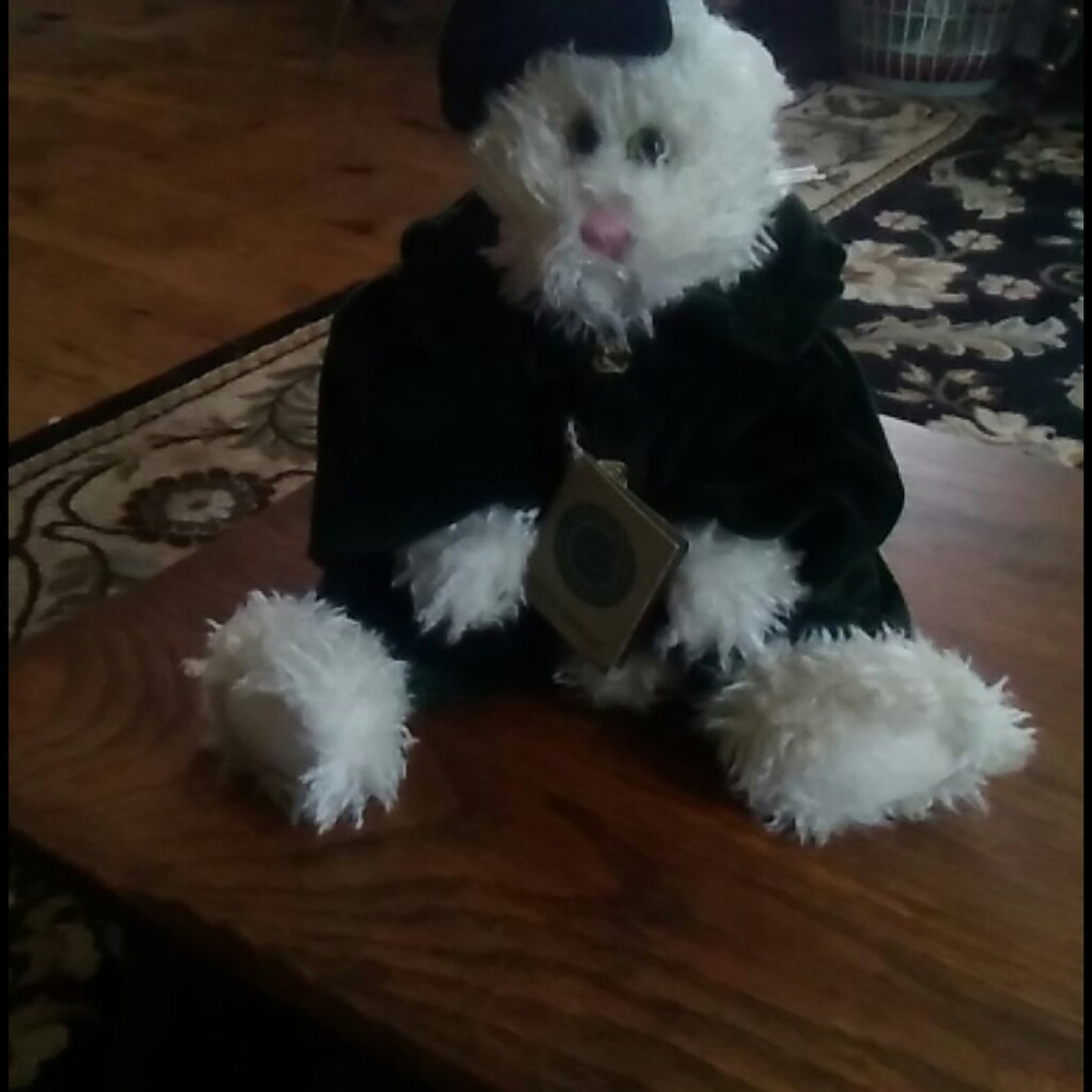 Boyd bear cat